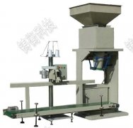 <b>���X�費�P��ԄӰ��b��</b>